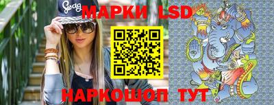 гидропоника Дубна