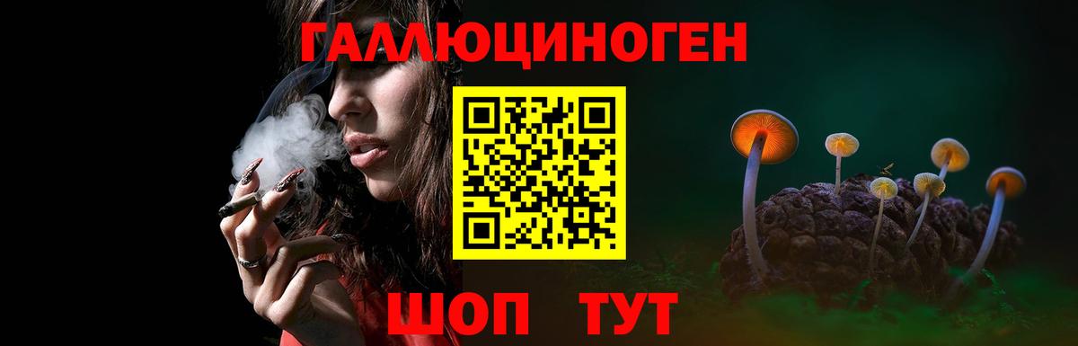 Галлюциногенные грибы прущие грибы  Вход с VPN  Галлюциногенные грибы Magic Shrooms  Мценск 